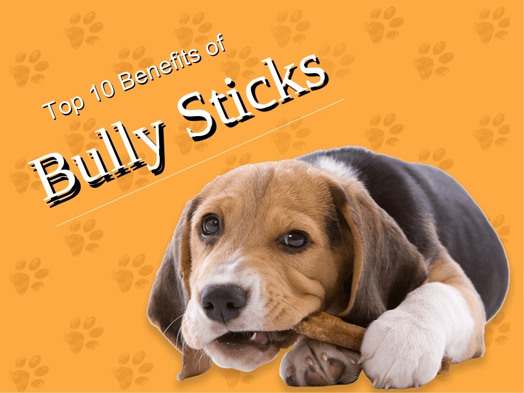 Top 10 Benefit of Bully Sticks For Dogs Buy Bully Sticks Online