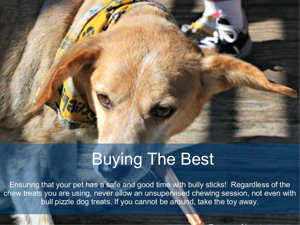 Top 10 Benefit of Bully Sticks For Dogs Buy Bully Sticks Online