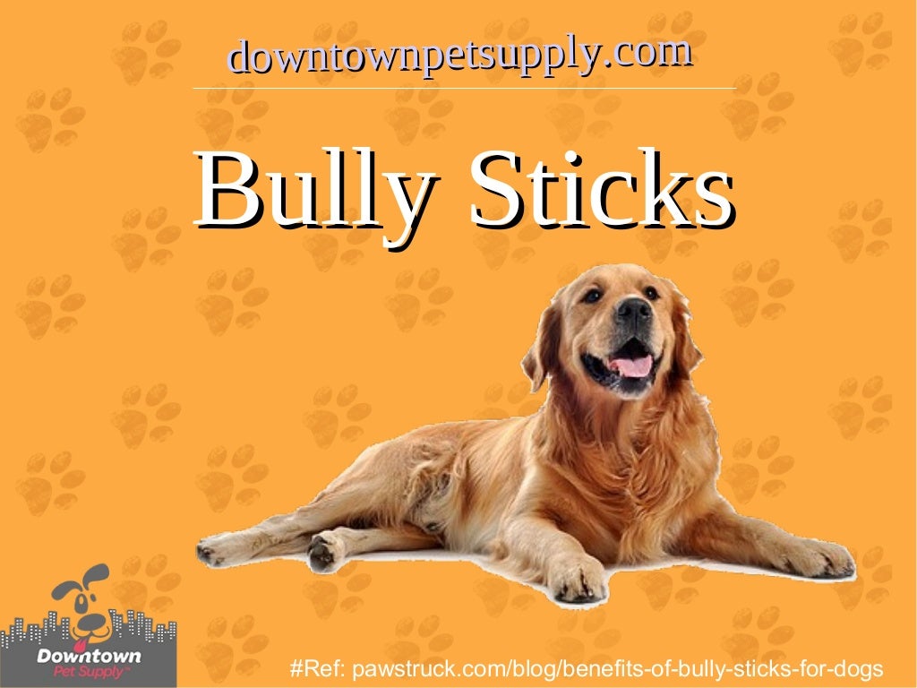 Top 10 Benefit of Bully Sticks For Dogs Buy Bully Sticks Online
