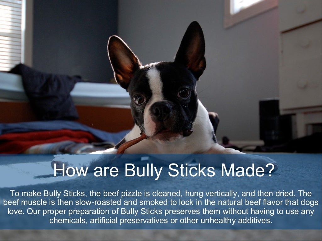 Top 10 Benefit of Bully Sticks For Dogs Buy Bully Sticks Online