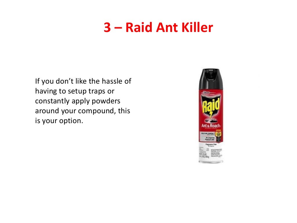 Top 10 best rated ant killers
