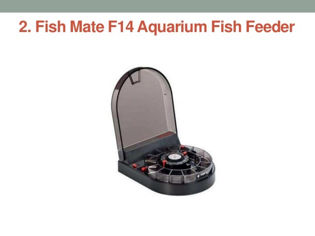 Top 10 Best Automatic Fish Feeders In 2017