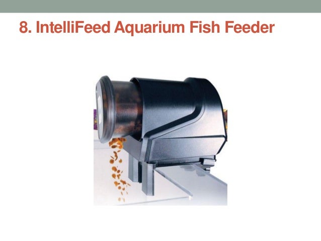 intellifeed fish feeder