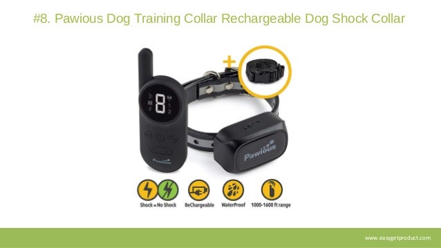 best dog training shock collar