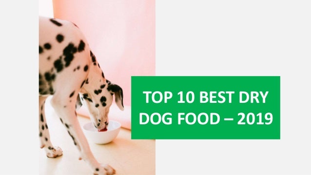 2019 best dry dog food