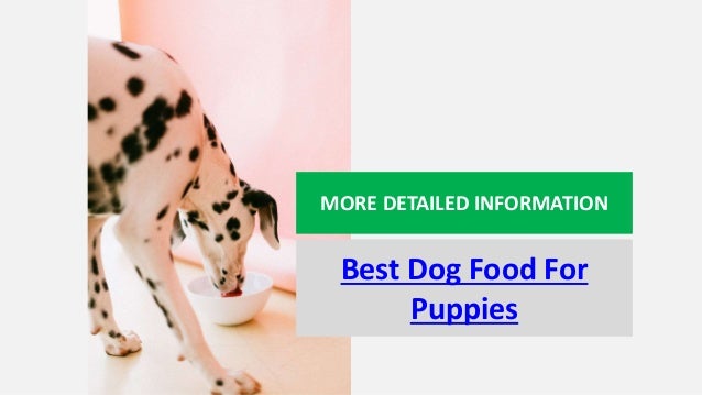 top 10 dry dog food