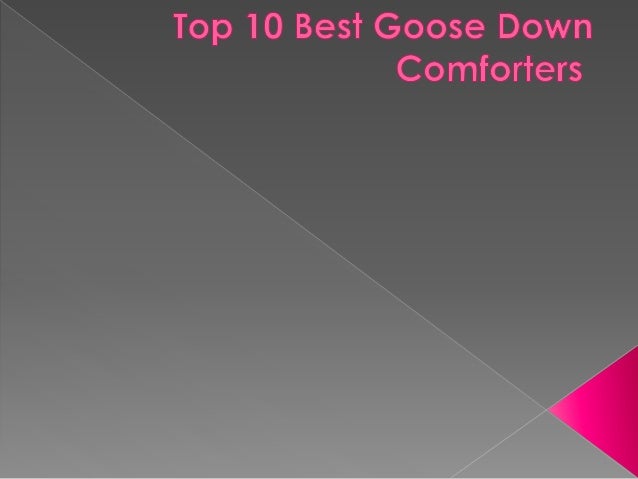 Top 10 Best Goose Down Comforters