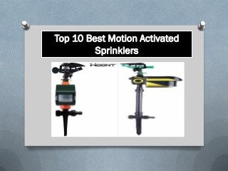 Top 10 best motion activated sprinklers