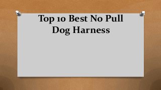 Top 10 Best No Pull
Dog Harness
 