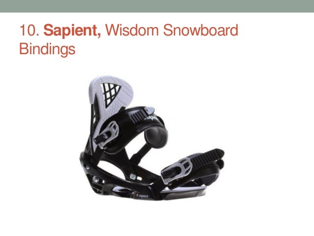 sapient bindings