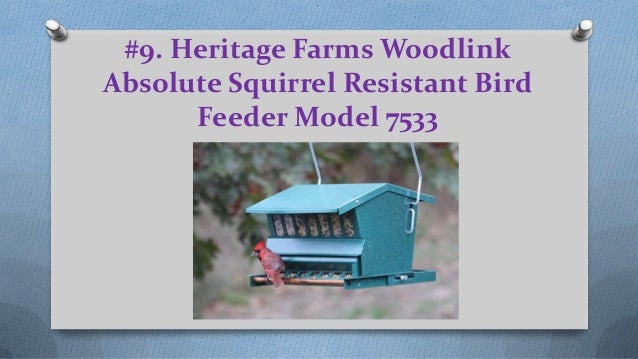 Top 10 Best Squirrel Proof Bird Feeders Products Reviews In 2018