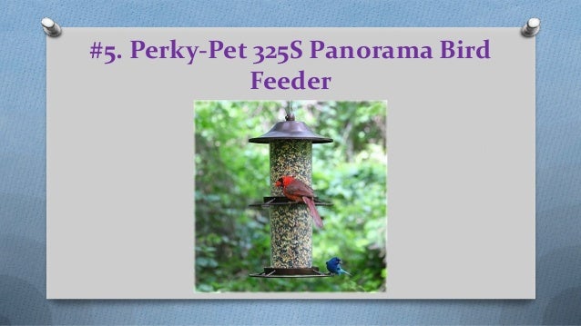 Top 10 Best Squirrel Proof Bird Feeders Products Reviews In 2018