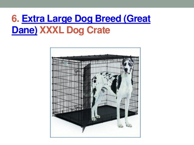 xxxl dog kennels