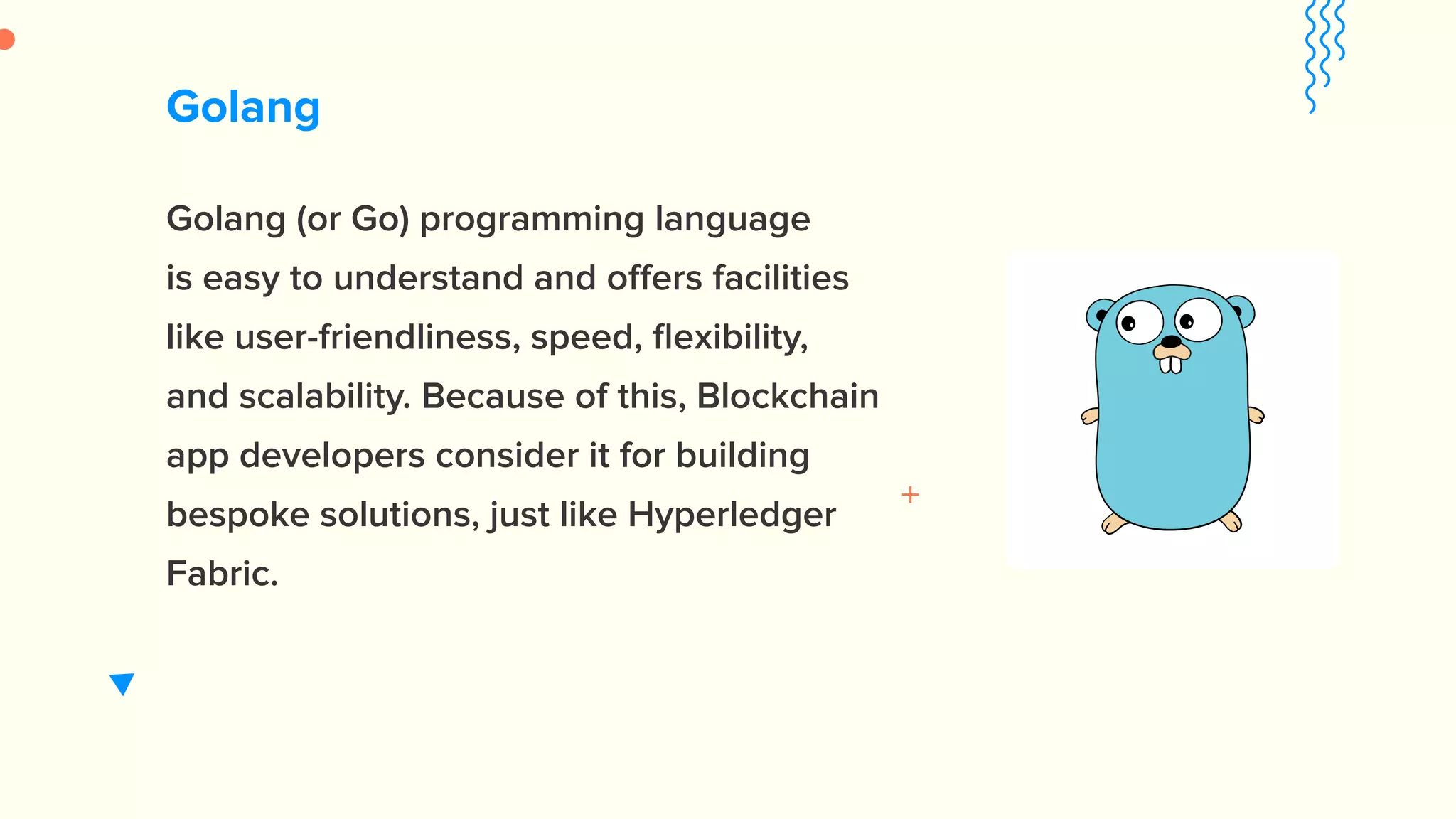 Golang Golang (or Go) programming language is easy to understand and offers facilities like user-friendliness, speed, ﬂexibility, and scalability. Because of this, Blockchain app developers consider it for building bespoke solutions, just like Hyperledger Fabric. 