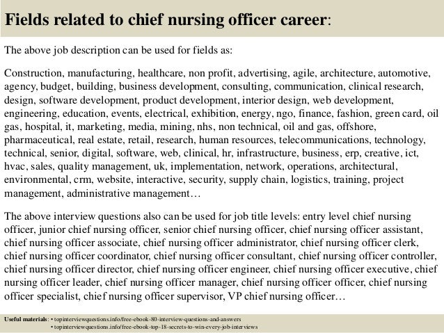 17 fields related to chief nursing officer career the above job description