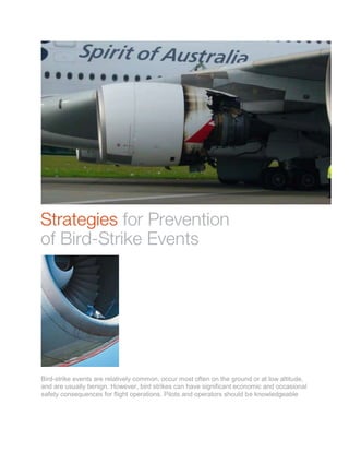Bird-strike events are relatively common, occur most often on the ground or at low altitude,
and are usually benign. However, bird strikes can have significant economic and occasional
safety consequences for flight operations. Pilots and operators should be knowledgeable
 
