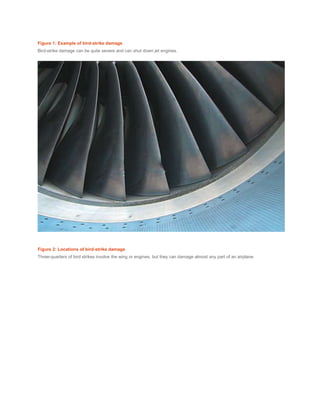 Figure 1: Example of bird-strike damage
Bird-strike damage can be quite severe and can shut down jet engines.
Figure 2: Locations of bird-strike damage
Three-quarters of bird strikes involve the wing or engines, but they can damage almost any part of an airplane.
 