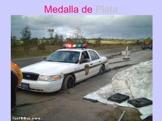 Medalla de  Plata 