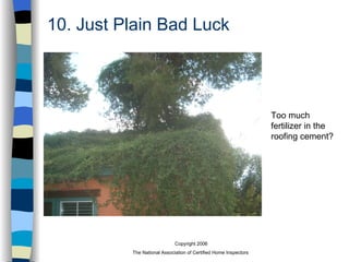10. Just Plain Bad Luck Too much fertilizer in the roofing cement? 