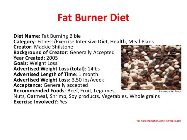 top 10 diets for the new year findthebest com