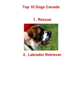 Top 10 Dogs Canada
1. Rescue
2. Labrador Retriever
 