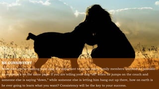 BE CONSISTENT
Whenever you’re training your dog, it’s important to get as many family members involved as possible
so everyone’s on the same page. If you are telling your dog “off” when he jumps on the couch and
someone else is saying “down,” while someone else is letting him hang out up there, how on earth is
he ever going to learn what you want? Consistency will be the key to your success.
 