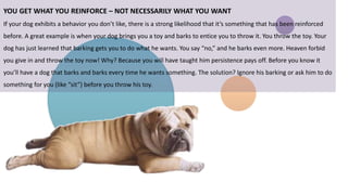YOU GET WHAT YOU REINFORCE – NOT NECESSARILY WHAT YOU WANT
If your dog exhibits a behavior you don’t like, there is a strong likelihood that it’s something that has been reinforced
before. A great example is when your dog brings you a toy and barks to entice you to throw it. You throw the toy. Your
dog has just learned that barking gets you to do what he wants. You say “no,” and he barks even more. Heaven forbid
you give in and throw the toy now! Why? Because you will have taught him persistence pays off. Before you know it
you’ll have a dog that barks and barks every time he wants something. The solution? Ignore his barking or ask him to do
something for you (like “sit”) before you throw his toy.
 