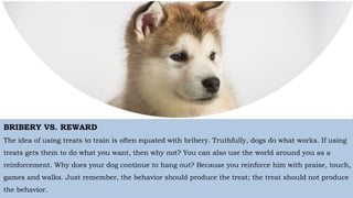 Wherever you want to go, your
dog will always be there for you.
Even when you fly away.
BRIBERY VS. REWARD
The idea of using treats to train is often equated with bribery. Truthfully, dogs do what works. If using
treats gets them to do what you want, then why not? You can also use the world around you as a
reinforcement. Why does your dog continue to hang out? Because you reinforce him with praise, touch,
games and walks. Just remember, the behavior should produce the treat; the treat should not produce
the behavior.
 