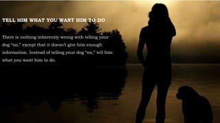 They will become your best friends and loyal listeners from
when they are young.
TELL HIM WHAT YOU WANT HIM TO DO
There is nothing inherently wrong with telling your
dog “no,” except that it doesn’t give him enough
information. Instead of telling your dog “no,” tell him
what you want him to do.
 