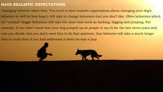 HAVE REALISTIC EXPECTATIONS
Changing behavior takes time. You need to have realistic expectations about changing your dog’s
behavior as well as how long it will take to change behaviors that you don’t like. Often behaviors which
are “normal” doggie behaviors will take the most time such as barking, digging and jumping. For
example, if you didn’t mind that your dog jumped up on people to say hi for the last seven years and
now you decide that you don’t want him to do that anymore, that behavior will take a much longer
time to undo than if you had addressed it when he was a pup.
 