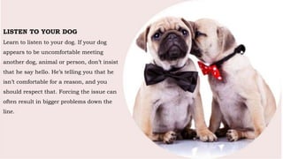 They can even relieve your
stress, help you to restore
your health.
LISTEN TO YOUR DOG
Learn to listen to your dog. If your dog
appears to be uncomfortable meeting
another dog, animal or person, don’t insist
that he say hello. He’s telling you that he
isn’t comfortable for a reason, and you
should respect that. Forcing the issue can
often result in bigger problems down the
line.
 