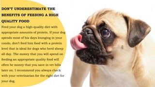 DON’T UNDERESTIMATE THE
BENEFITS OF FEEDING A HIGH
QUALITY FOOD
Feed your dog a high-quality diet with
appropriate amounts of protein. If your dog
spends most of his days lounging in your
condo, don’t feed him food with a protein
level that is ideal for dogs who herd sheep
all day. The money that you will spend on
feeding an appropriate quality food will
often be money that you save in vet bills
later on. I recommend you always check
with your veterinarian for the right diet for
your dog.
 