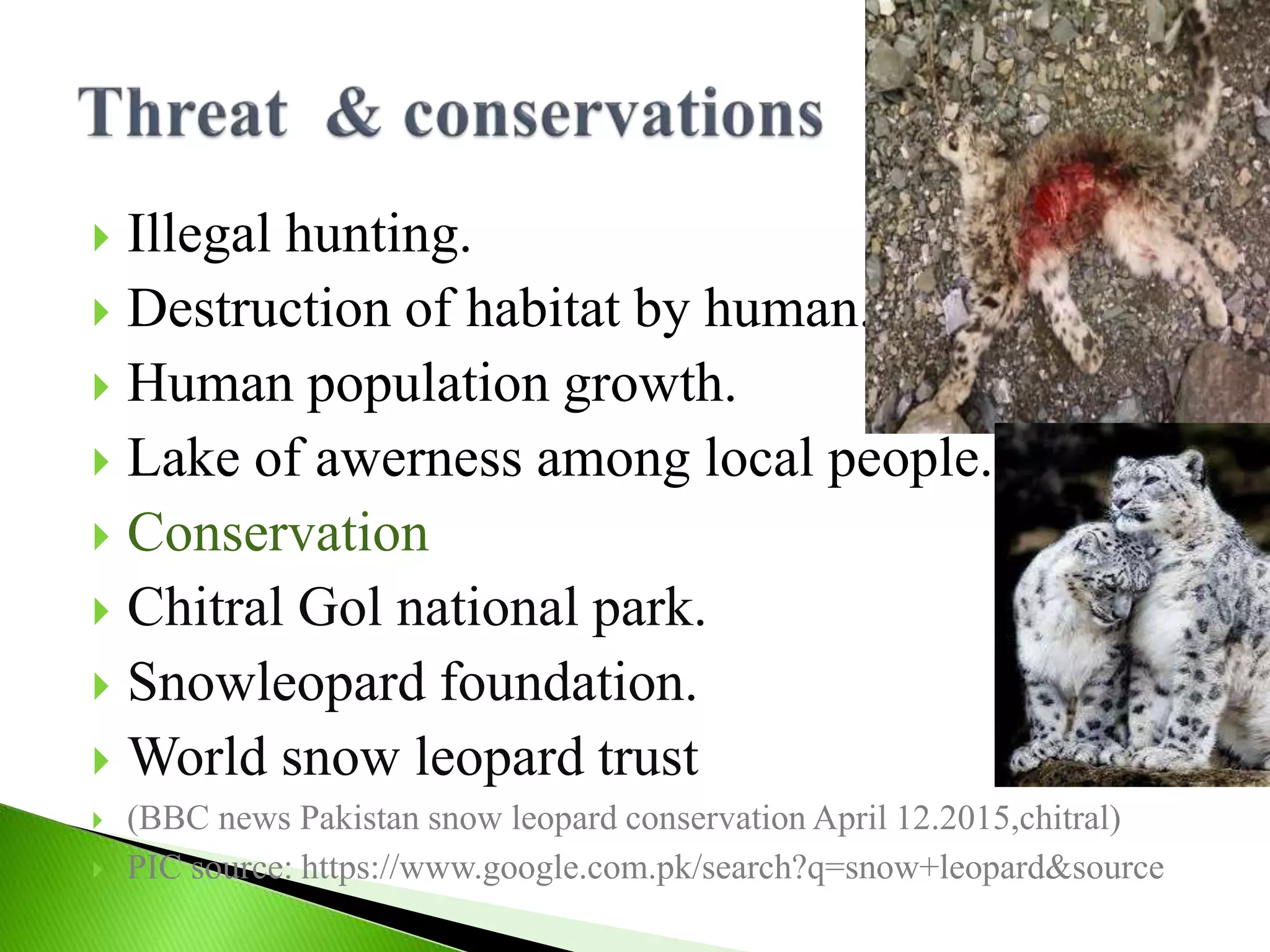 Top 10 endangered species of pakistan | PPTX