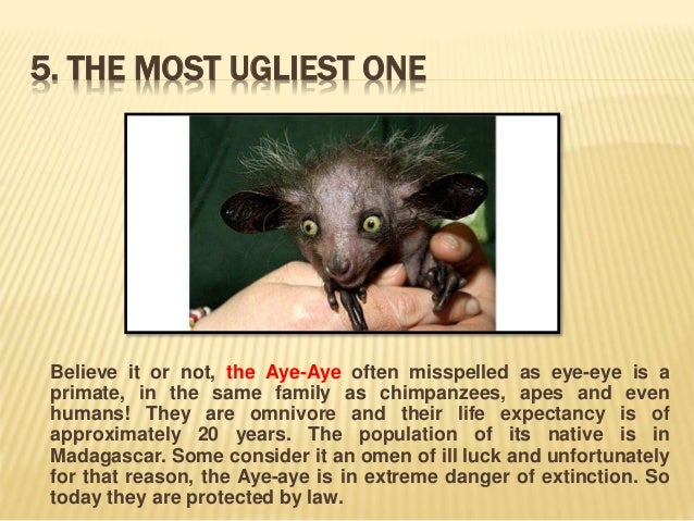 top 10 most exotic animals