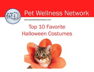 Pet Wellness Network
Top 10 Favorite
Halloween Costumes
www.petwellnessnetwork.com
 