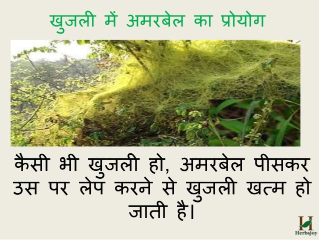 Home Remedies For Cold And Fever In Rainy Season Home Remedies For Cold And Fever In Rainy Season