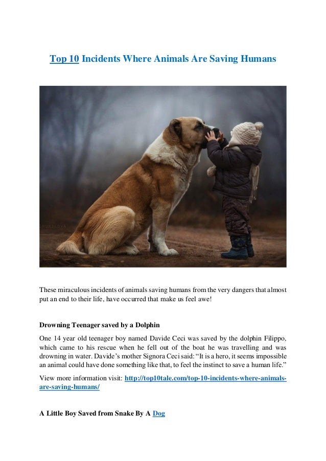 Top 10 Incidents where Animals are Saving Humans