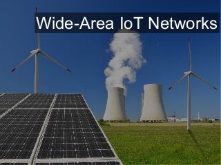 Wide-Area IoT Networks
 