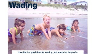 Low tide is a good time for wading, just watch for drop-offs.
 