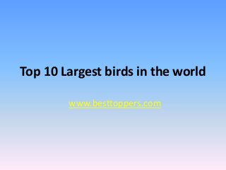 Top 10 Largest birds in the world
www.besttoppers.com
 