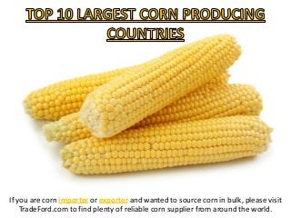 If you are corn importer or exporter and wanted to source corn in bulk, please visit
TradeFord.com to find plenty of reliable corn supplier from around the world.

 
