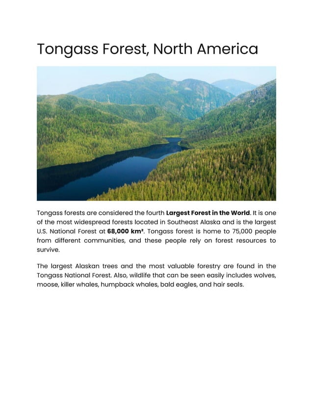 Top 10 Largest Forests in The World.pdf