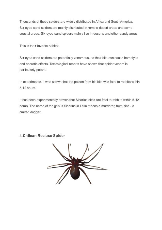 Top 10 most dangerous spiders.pdf