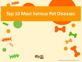 Top 10 Most Serious Pet Diseases
http://www.PetsGroomingTips.com
 