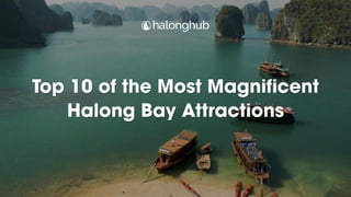 Top 10 of the Most Magnificent
Halong Bay Attractions
 