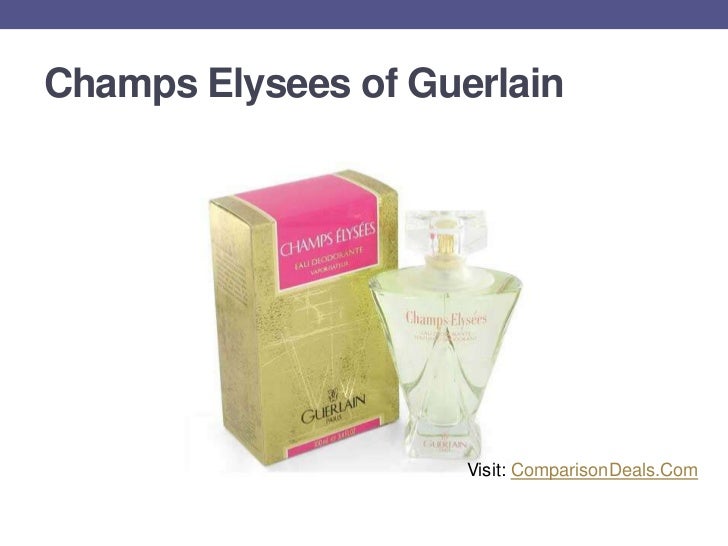 Top 10 Perfumes