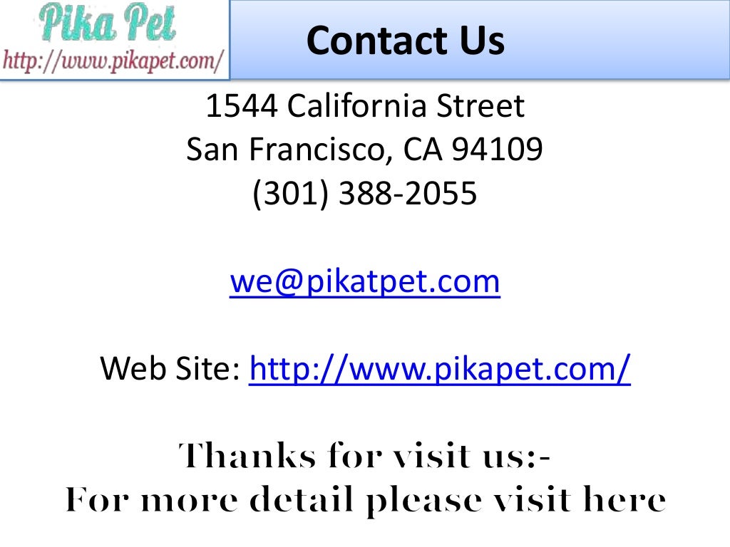 Top 10 Pet Care Providers Near Me