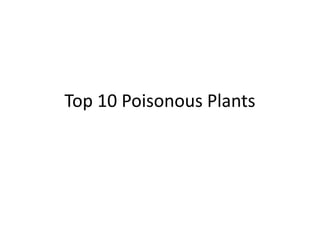 Top 10 Poisonous Plants
 