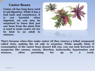 Castor Beans
That's because when they make castor oil they remove a lethal compound
called ricin, making the oil safe to consume. While usually fatal, if
consumption of the castor bean doesn't kill you, you can look forward to
symptoms like nausea, emesis, diarrhea, tachycardia, hypotension and
seizures, often persisting for up to a week.
9/19/2013 5
Castor oil has long been used
to aid digestion. While it has a
foul taste and consistency, it
is not harmful when
ingested, yet you may be
surprised to learn that just
one bean from the plant that
is used to make castor oil can
be fatal to an adult in
minutes.
 