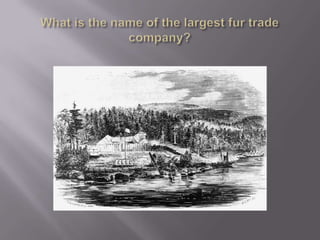 What is the name of the largest fur trade company? 